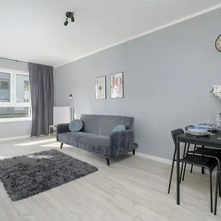 Spacious With Balcony And Gym By Renters Apartment
